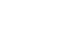 Boston Leather